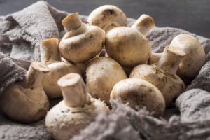 From lorries to lighting – the essential mushroom farm equipment you need