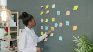 Economics HL vs IB Business Management SL: Workload and Results